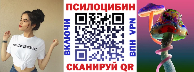 где найти наркотики Сясьстрой Псилоцибиновые грибы Psilocybe